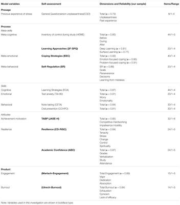 Satisfaction With the Self-Assessment of University Students Through e-Coping With Academic Stress UtilityTM